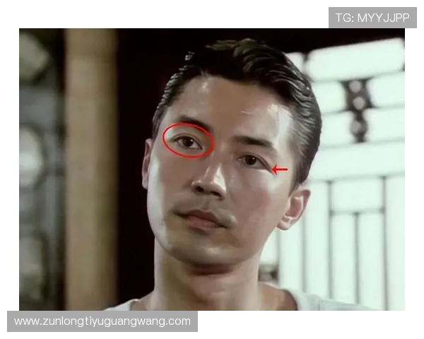 尊龙绝对是混血的传闻是否可信，全面解析其血统组成与家庭背景