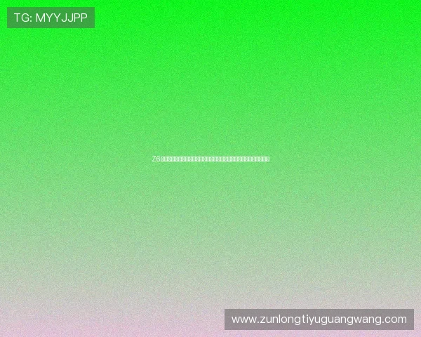 Z6尊龙体育平台的客户服务与技术支持体系详尽介绍,保障用户无忧体验
